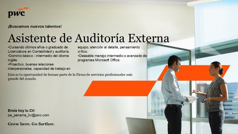 Asistente de Auditoría Externa