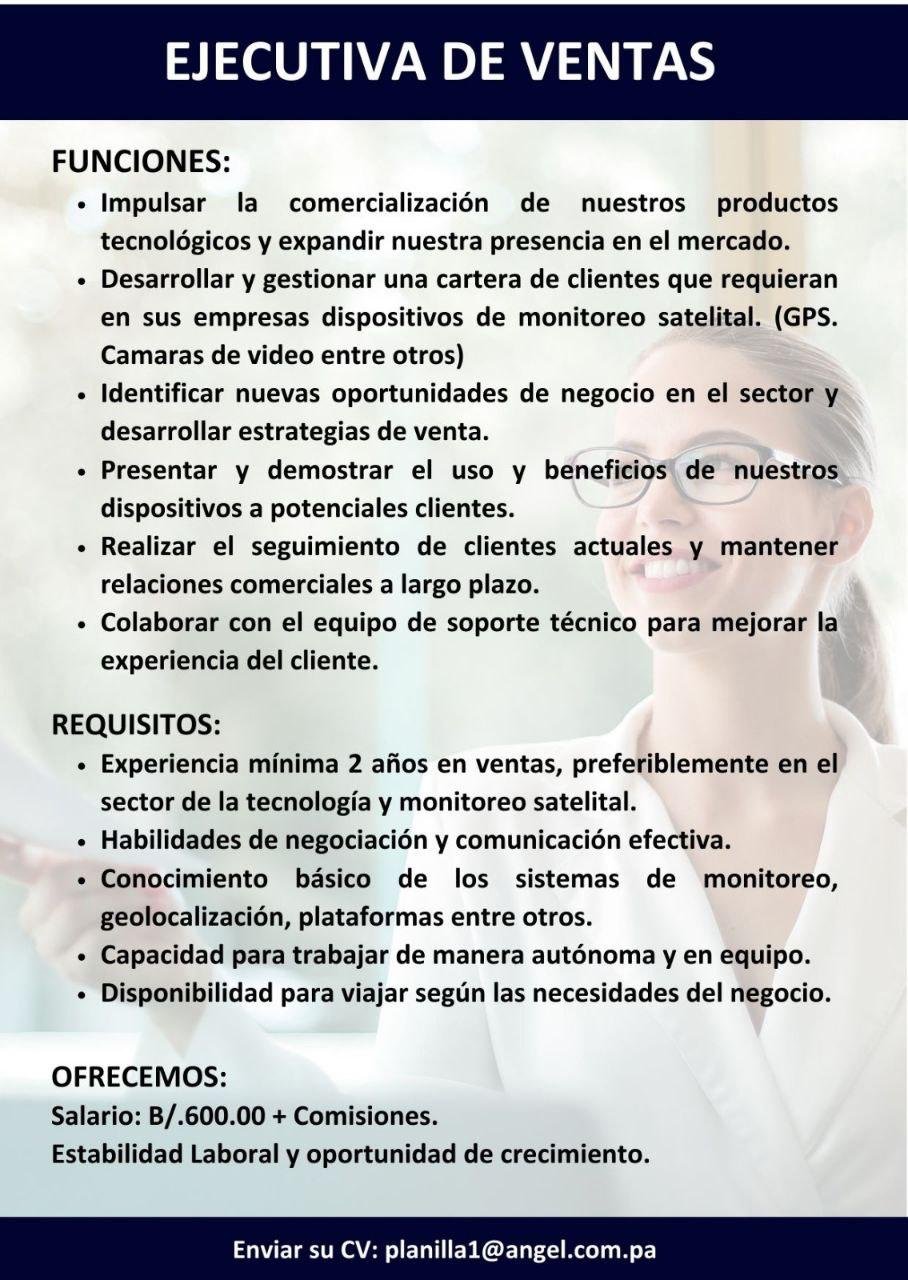 Ejecutiva de Ventas