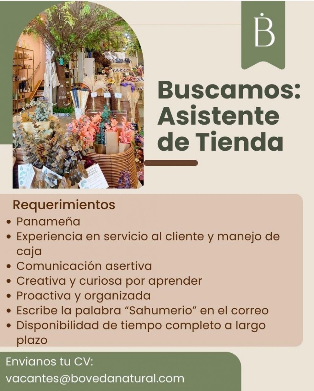 Asistente de Tienda