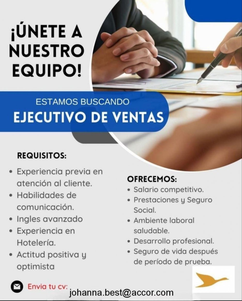 Ejecutivo de Ventas